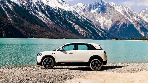 2月中国乘用车厂商出口TOP 20公布 特斯拉只能排第7