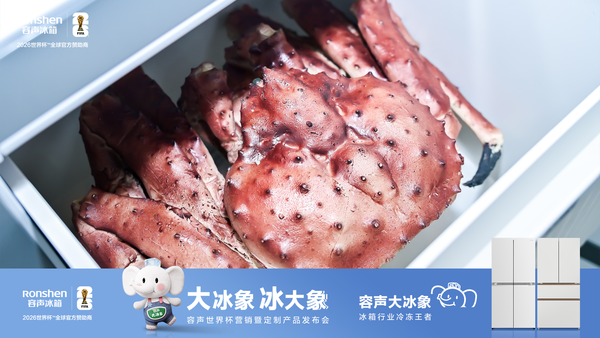 打破冰箱行业20年结构沉疴，容声“大冰象”如何以“中式创新”重塑冷冻法则？