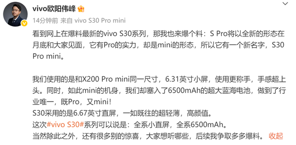 vivo副总裁曝光S30 Pro mini:6.31英寸+6500mAh电池