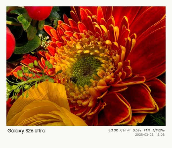 带上三星Galaxy S26 Ultra去春游：用影像记录大好春日美景