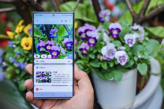 创意影像不设限  用三星Galaxy S24 Ultra记录春日繁花